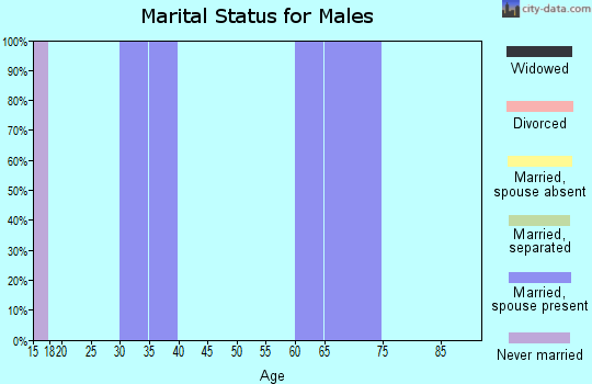 Zip code 61479 marital status for males