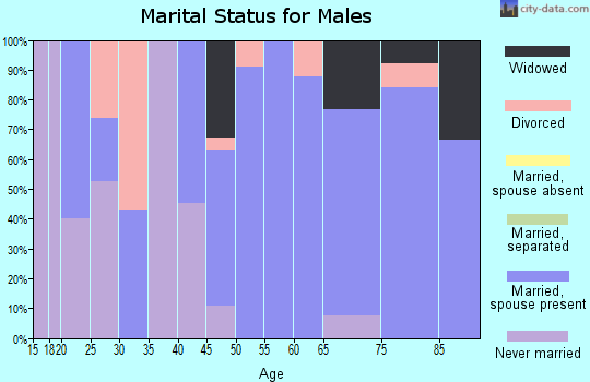 Zip code 61480 marital status for males