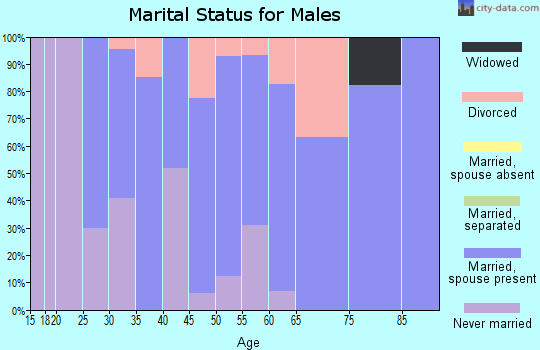 Zip code 61484 marital status for males