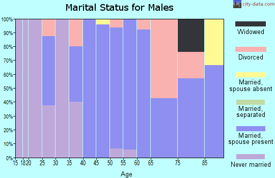 Zip code 61485 marital status for males