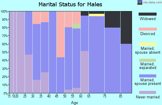 Zip code 61486 marital status for males