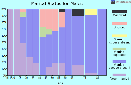 Zip code 61501 marital status for males
