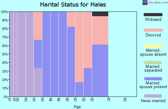 Zip code 61519 marital status for males