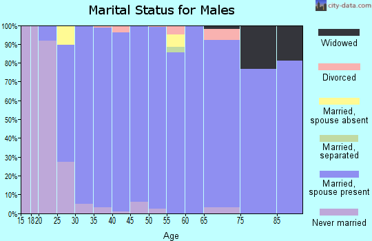 Zip code 61525 marital status for males