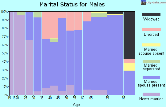 Zip code 61530 marital status for males