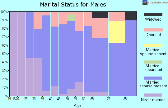 Zip code 61531 marital status for males