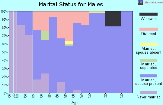 Zip code 61533 marital status for males