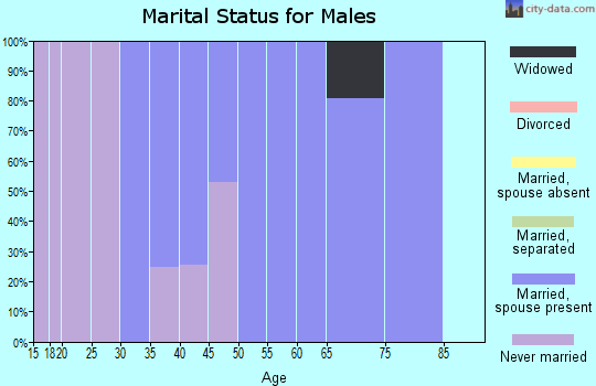 Zip code 61535 marital status for males