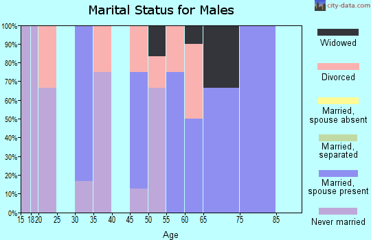 Zip code 61539 marital status for males