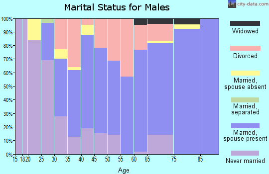 Zip code 61542 marital status for males