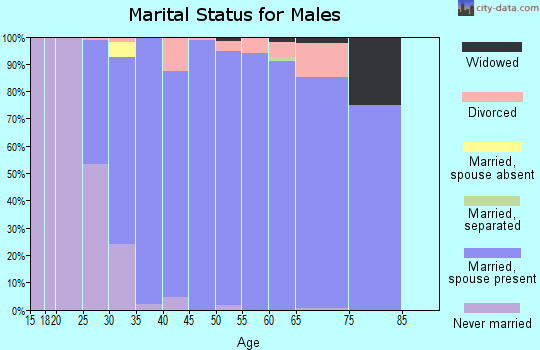 Zip code 61547 marital status for males