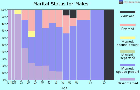 Zip code 61564 marital status for males