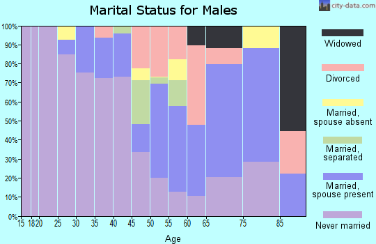 Zip code 61606 marital status for males