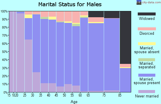 Zip code 61704 marital status for males