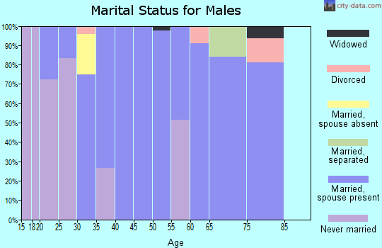 Zip code 61722 marital status for males