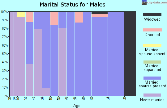 Zip code 61724 marital status for males