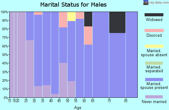 Zip code 61725 marital status for males