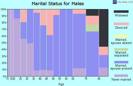 Zip code 61728 marital status for males