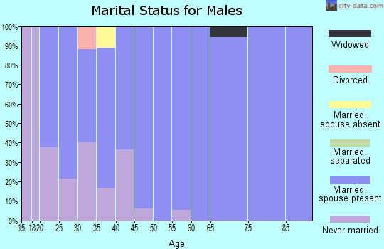 Zip code 61729 marital status for males