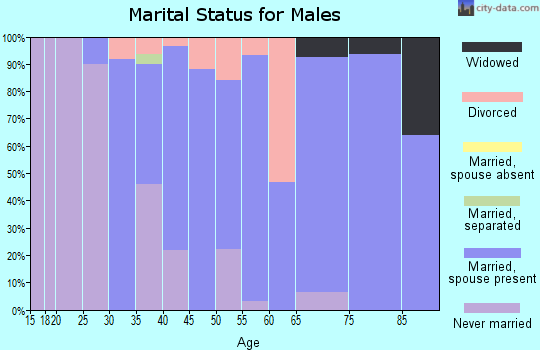Zip code 61732 marital status for males