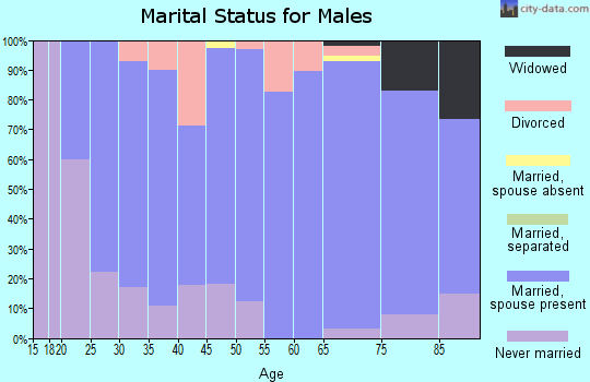 Zip code 61734 marital status for males