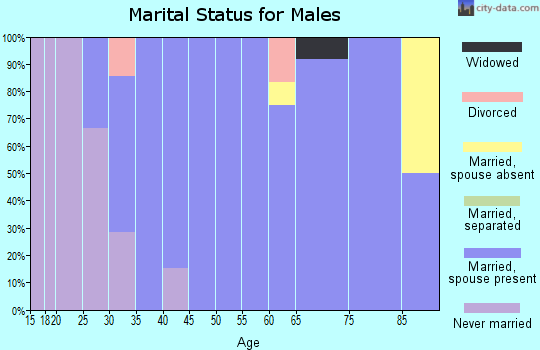 Zip code 61737 marital status for males
