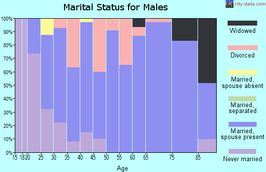 Zip code 61741 marital status for males