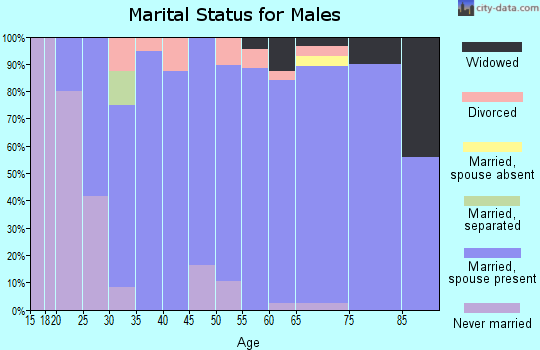 Zip code 61744 marital status for males