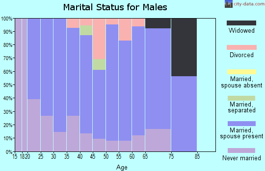 Zip code 61745 marital status for males