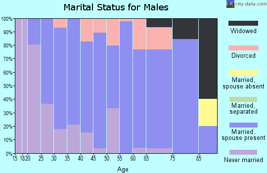 Zip code 61747 marital status for males