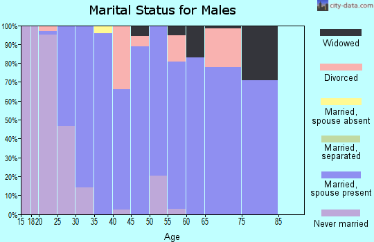 Zip code 61748 marital status for males