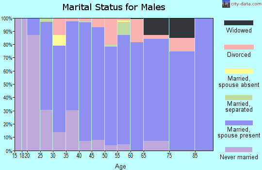 Zip code 61755 marital status for males