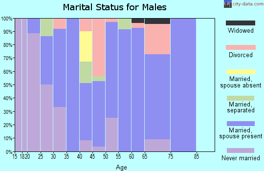 Zip code 61770 marital status for males