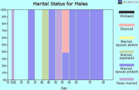 Zip code 61772 marital status for males