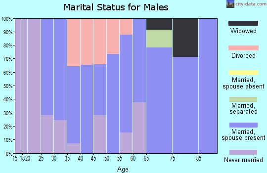 Zip code 61774 marital status for males