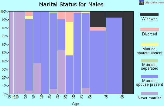 Zip code 61776 marital status for males