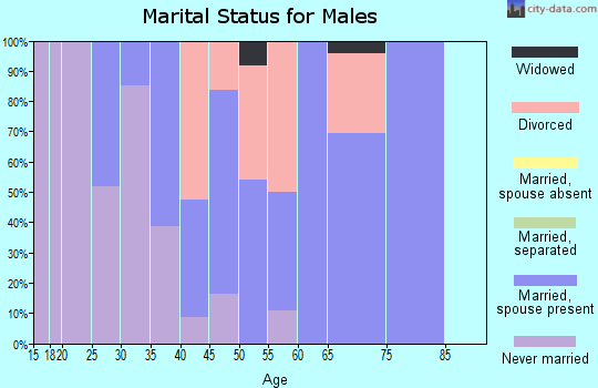 Zip code 61777 marital status for males