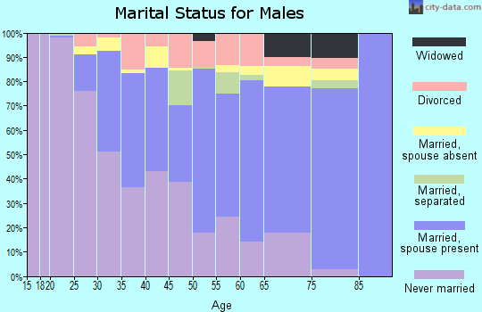 Zip code 61801 marital status for males