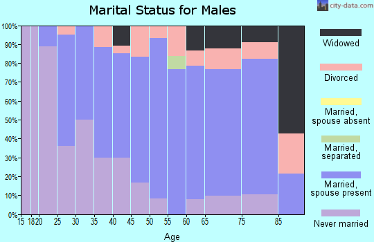 Zip code 61813 marital status for males