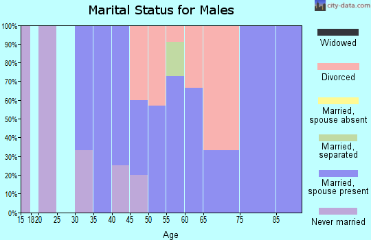 Zip code 61815 marital status for males