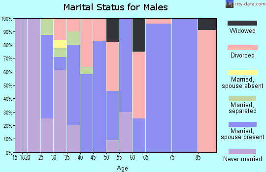 Zip code 61816 marital status for males