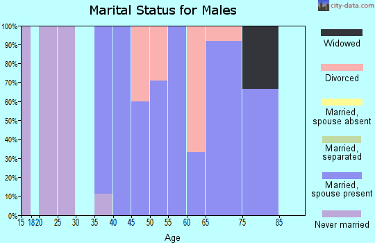 Zip code 61845 marital status for males