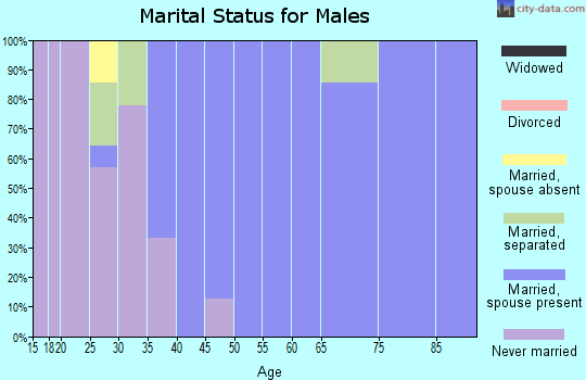 Zip code 61851 marital status for males