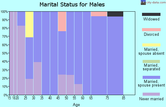 Zip code 61863 marital status for males