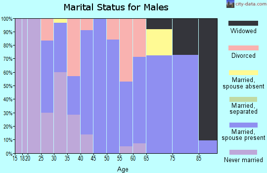 Zip code 61872 marital status for males