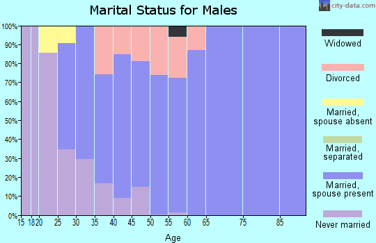 Zip code 61873 marital status for males