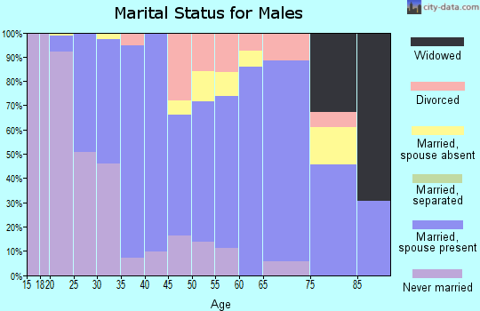 Zip code 61874 marital status for males