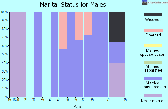 Zip code 61875 marital status for males