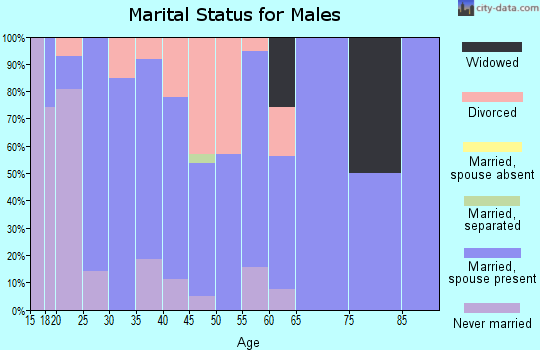 Zip code 61877 marital status for males