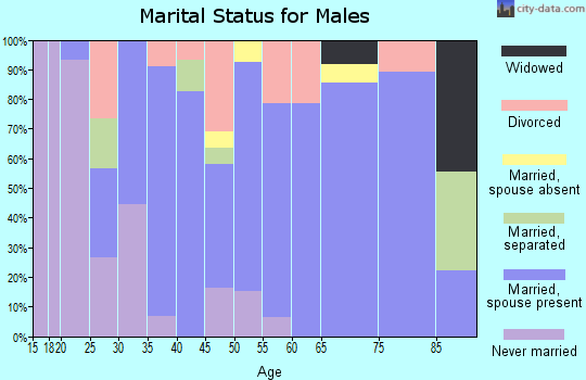Zip code 61878 marital status for males